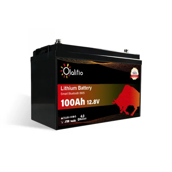 olalitio-litio-bateria-12v-100ah-4