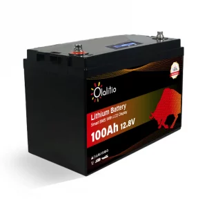 olalitio litio bateria 12v 100ah e 2
