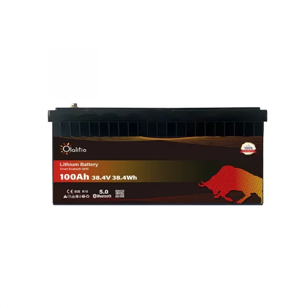 Batería de Litio LiFePO4 12.8V 300Ah-Bluetooth-BMS-Calefacción-OLALITIO-9