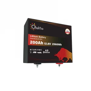 olalitio-litio-bateria-12v-200ah-m-ola-12-200-m-1