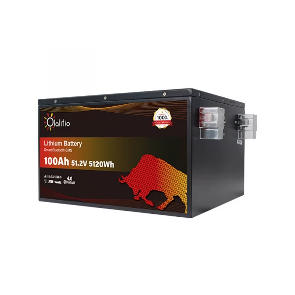 Bateria de litio 51.2V 100Ah LiFePO4 Bluetooth BMS Calefaccion OLALITIO 6