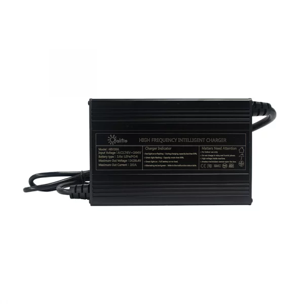 OLA 48 20 Charger 1