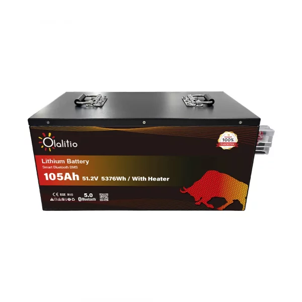 Batería de Litio 51,2V 105Ah Smart BMS con Bluetooth y láminas calefactoras para carritos de golf-5