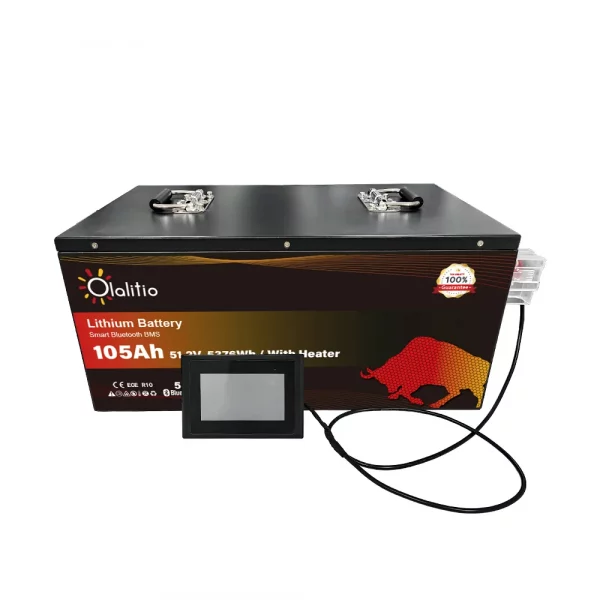 Batería de Litio 51,2V 105Ah Smart BMS con Bluetooth y láminas calefactoras para carritos de golf-6
