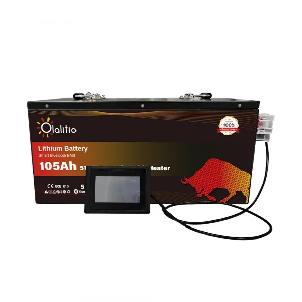 Batería de Litio 51,2V 105Ah Smart BMS con Bluetooth y láminas calefactoras para carritos de golf-7